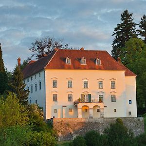 Schloss Ernegg Steinakirchen Am Forst Exterior photo