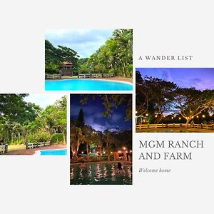 Bed and Breakfast Mgm Ranch And Farm Taal Exterior photo