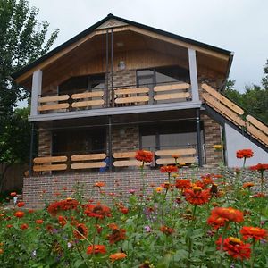 Guesthouse Kalakala Batumi Exterior photo