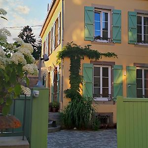 La Chouette Maison - Chambres D'Hotes Et Gite En Ville Remiremont Exterior photo