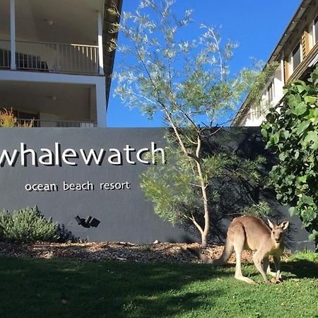 Whale Watch Ocean Beach Resort Point Lookout Exteriér fotografie
