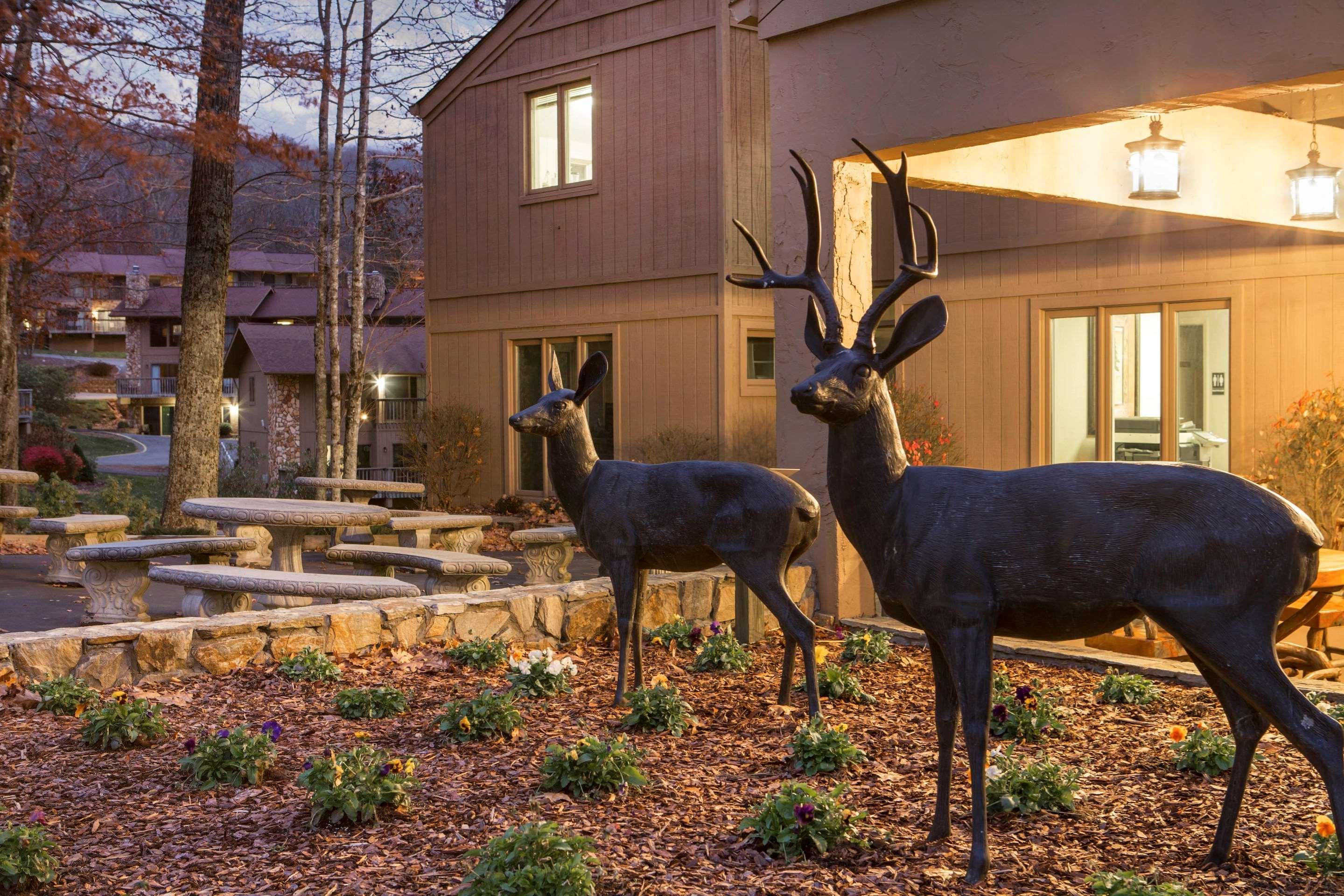 Bluegreen Vacations Blue Ridge Village, An Ascend Resort Banner Elk Exteriér fotografie