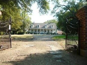 The Briars Bed And Breakfast Natchez Exteriér fotografie