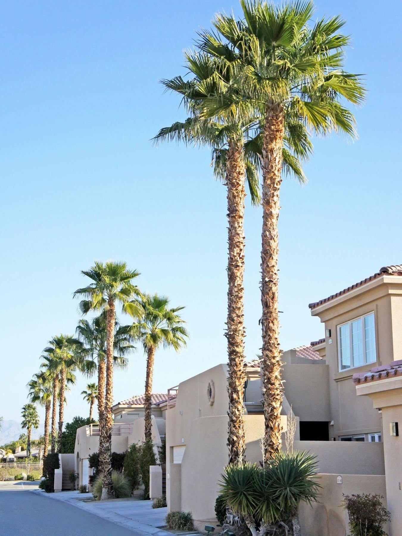 Raintree'S Cimarron Golf Resort Palm Springs Cathedral City Exteriér fotografie
