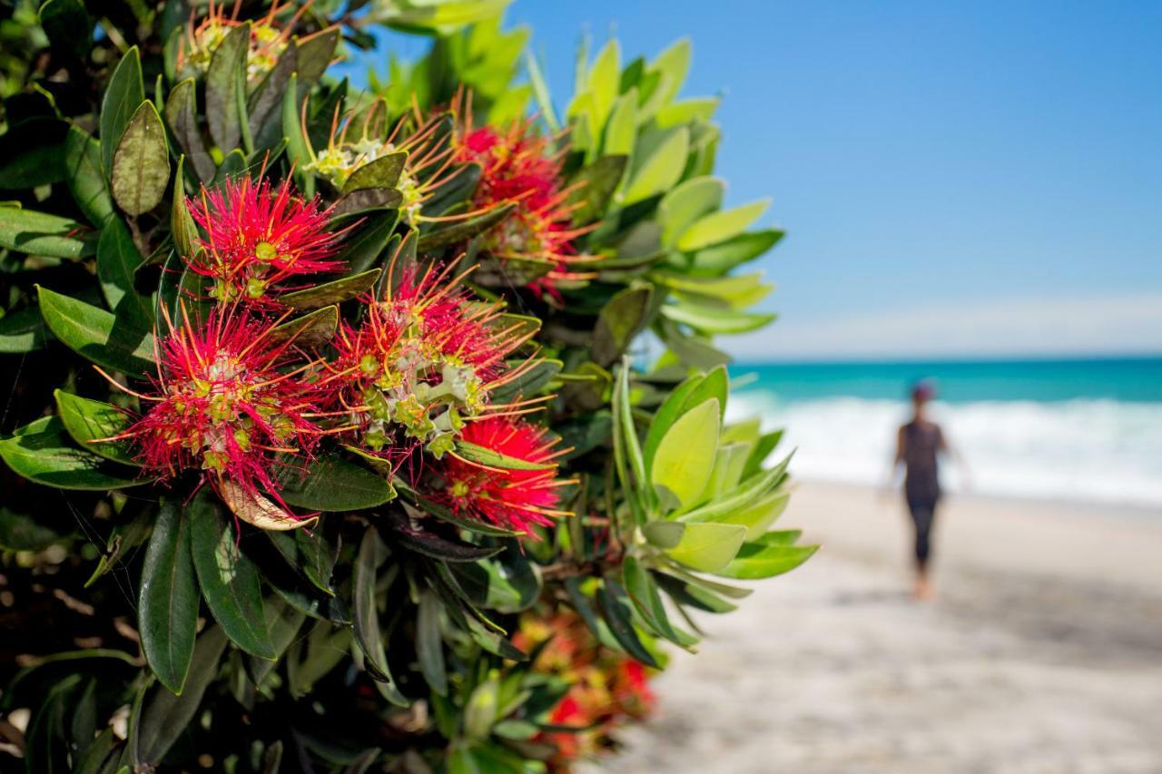 Tasman Holiday Parks - Beachaven Waihi Exteriér fotografie