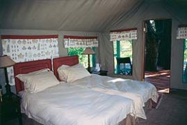 Camp Moremi Maun Exteriér fotografie