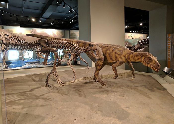 Chicago Children's Museum photo