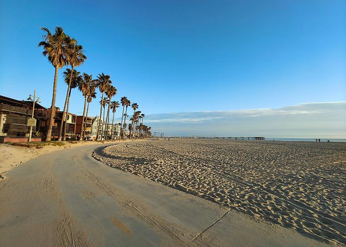 Venice Beach Boardwalk photo