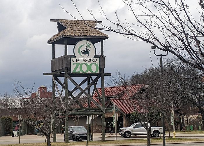 Chattanooga Zoo photo