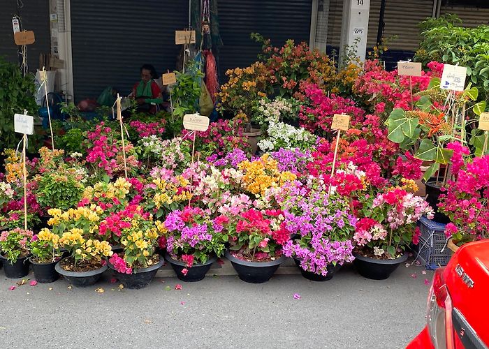 Chatuchak Weekend Market photo