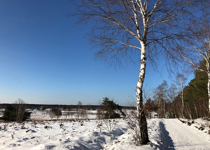 Barfußpark Undeloh | Lüneburger Heide photo