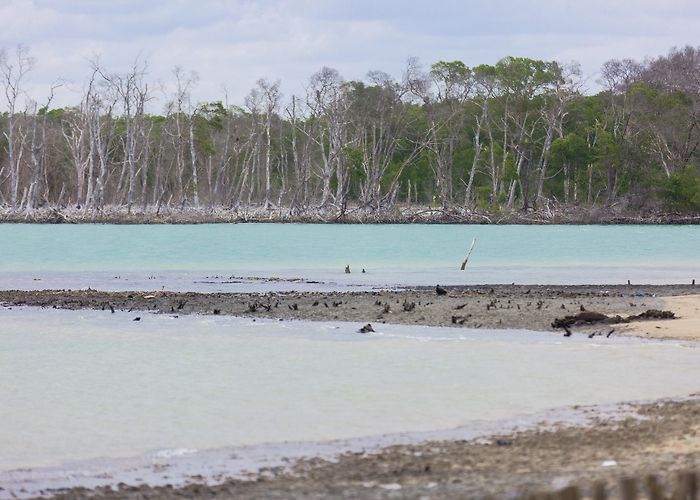 Pier Eliezer Levy Visit Macapa: 2024 Travel Guide for Macapa, Amapá | Expedia photo