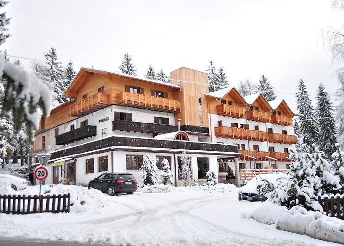 Rifugio Rifugio Sores - Tres, Predaia - 0 star Chalet - Trentino - Italy photo
