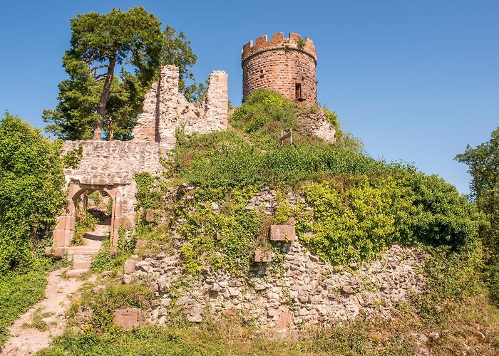 Château du Haut-Ribeaupierre About the event photo