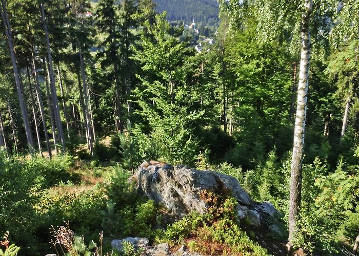 Seilschwebebahn Süd Visit Warmensteinach: 2024 Travel Guide for Warmensteinach ... photo