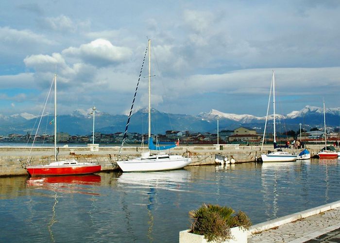 Viareggio harbour Top Things to Do photo