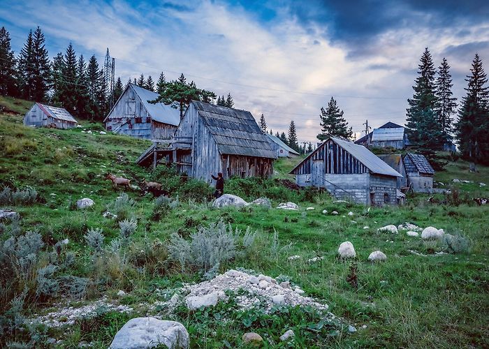 Zabljak (Zabljak) photo