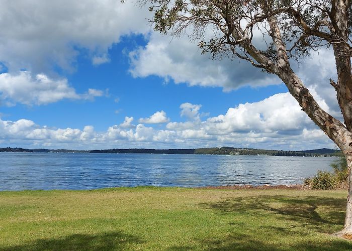 Warners Bay photo