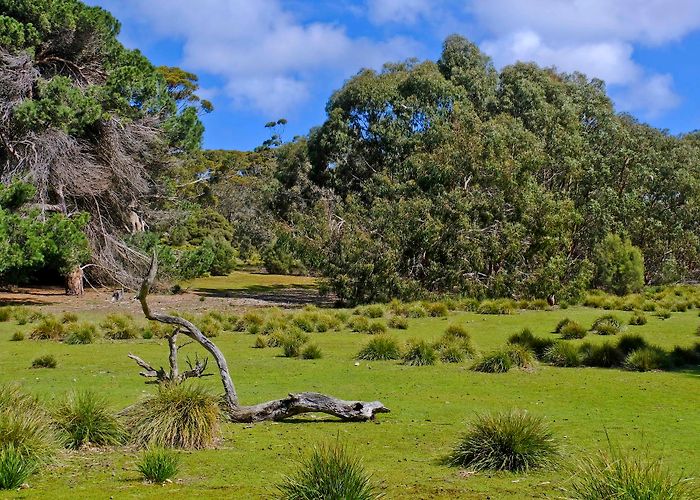 Flinders Chase photo