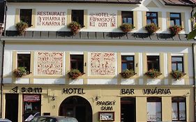 Hotel Panský dům Nove Mesto na Morave Exterior photo