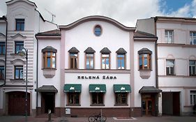 Penzion Zelená Žába Pardubice Exterior photo