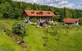 Haus Jagerfleck, Ihre Ferienwohnungen Am Nationalpark Bayerischer Wald Spiegelau Exterior photo
