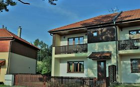 Vila Vila Rozinka Lipno Lipno nad Vltavou Exterior photo