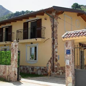 Villa Paladino - B&B E Guest House Scilla Exterior photo