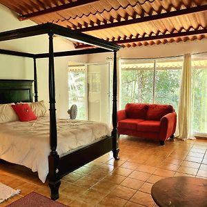 Bed and Breakfast Olp Treehouse Cerro Azul Exterior photo