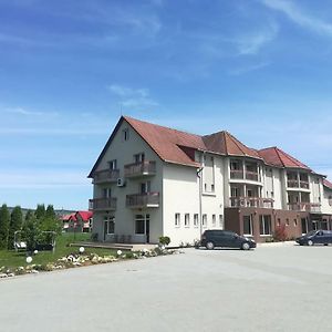 Hotel Vila Gong Gilău Exterior photo