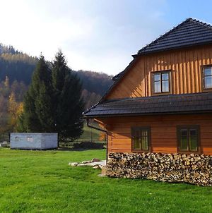 Vila Roubenka Pod Čapím vrchem Velké Losiny Exterior photo
