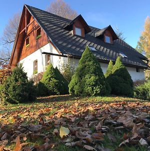 Vila Pronájem chaty v Jeseníkách Vrbno pod Pradědem Exterior photo