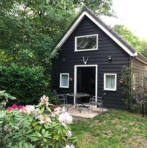 Cozy Cottage Utrecht Exterior photo