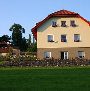 Apartmány Záhořovo Lože Horní Planá Exterior photo