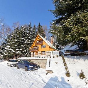 Vila Luxury Chalet Near Ski Area In Benecko Mrklov Exterior photo