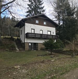 Vila Horská chata na Brčálníku v srdci Šumavy Železná Ruda Exterior photo