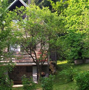 Vila Chata na Poskle u lesa s výhledem Hutisko Exterior photo