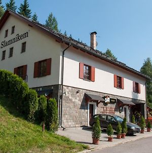 Hotel Pod Slamníkem Dolní Morava Exterior photo