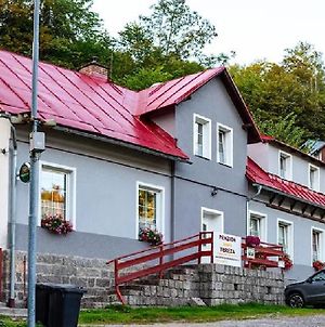 Hotel Chata Tereza Janov nad Nisou Exterior photo