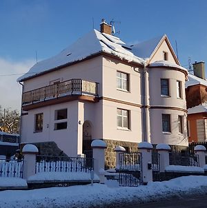 Aparthotel Vila Nejdek - Erzgebirge Exterior photo