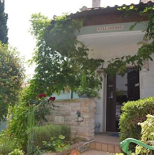 Villa Verde Apartments And Rooms Premantura Exterior photo