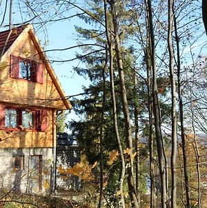 Lili'S Lovely Log Home In The Forest Bukkszentkereszt Exterior photo