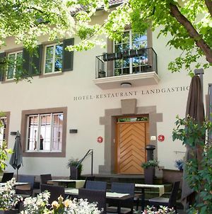 Hotel Landgasthof Riehen / Basilej Exterior photo
