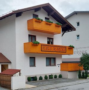 Apartmán Haus Marina Inklusive Gratis Eintritt Alpentherme Bad Hofgastein Exterior photo