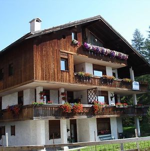 Villa Pocol - Stayincortina Cortina dʼAmpezzo Exterior photo