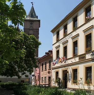 Pension City Plzeň Exterior photo