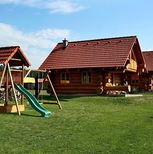 Vila Na Samotě Ve Srubu Plzeň Exterior photo