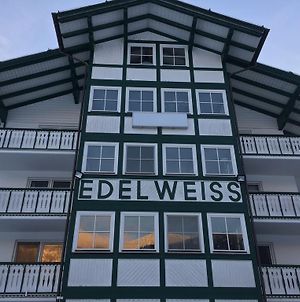 Pension Edelweiss Appartement Wimmer Gosau Exterior photo