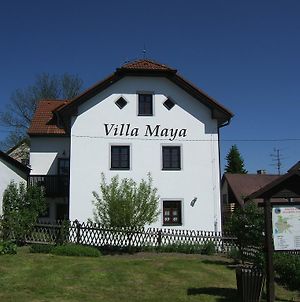 Villa Maya Horní Planá Exterior photo