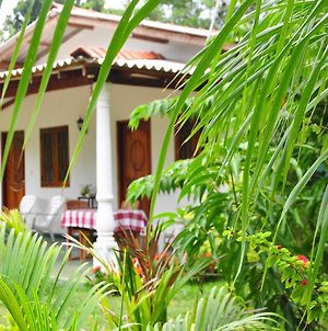 Sigiriya Amenity Home Stay Exterior photo
